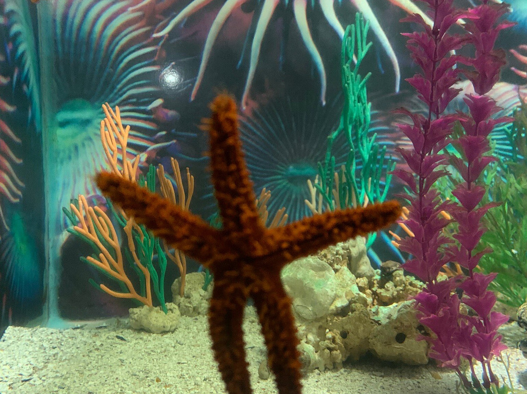 Aquário Natal-Extremoz必去景点