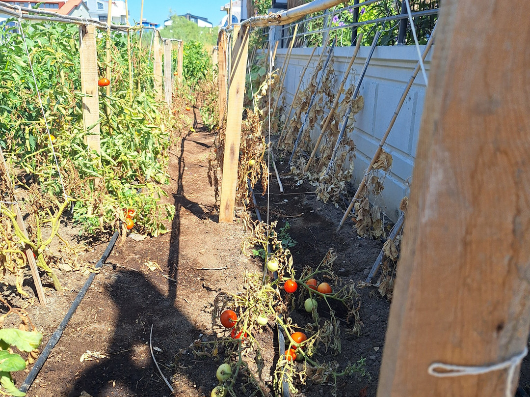 ReynaBe Boutique Hotel