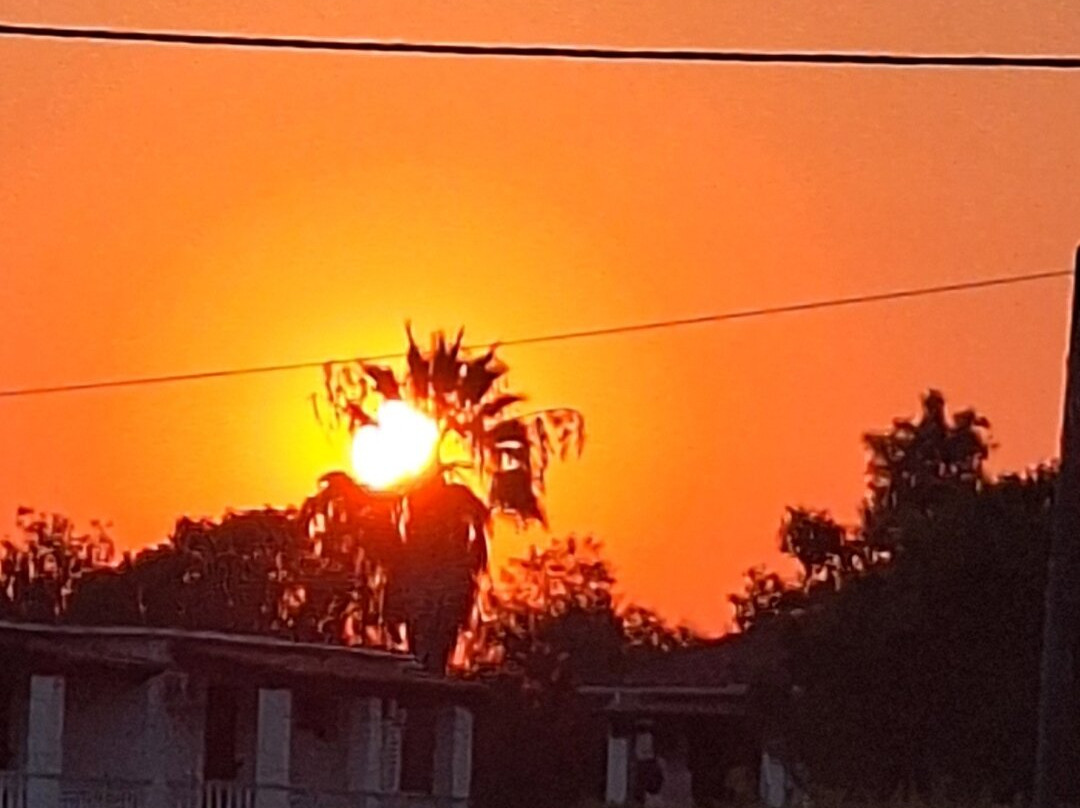 Derekas Studios主图