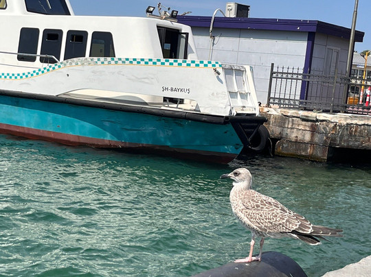 Yavuz Sultan Selim Koprusu-伊斯坦布尔必去景点