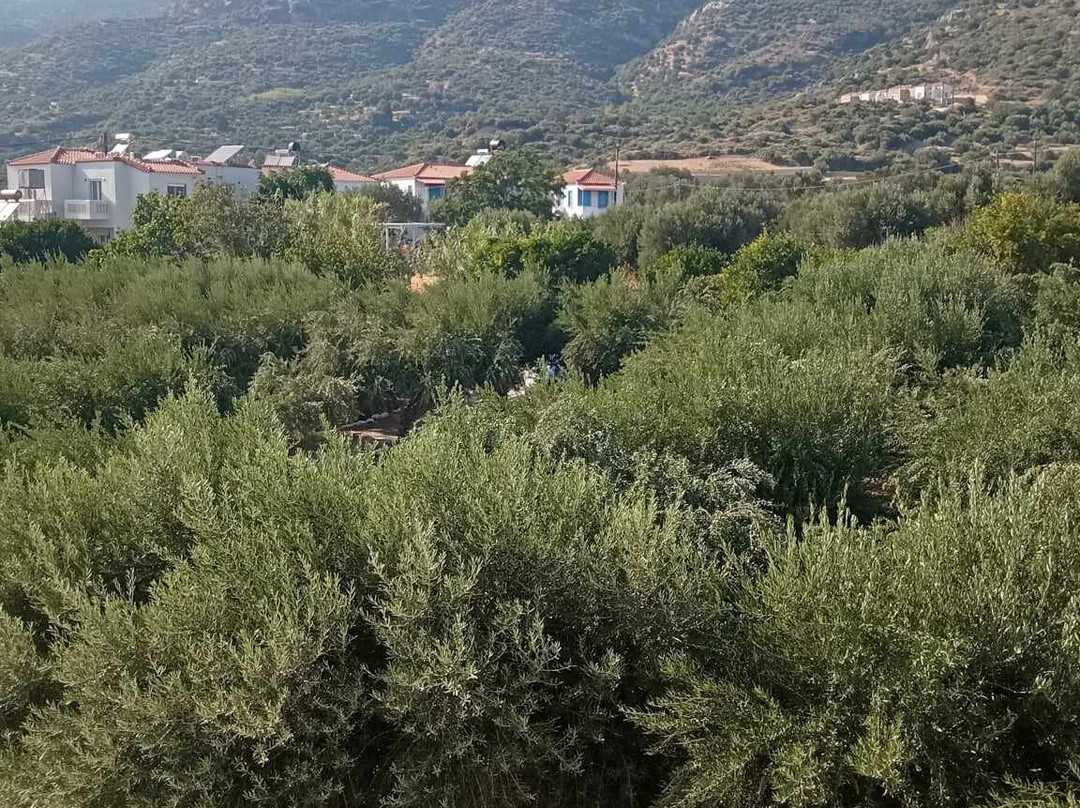 Aphrodite Samos Suites主图