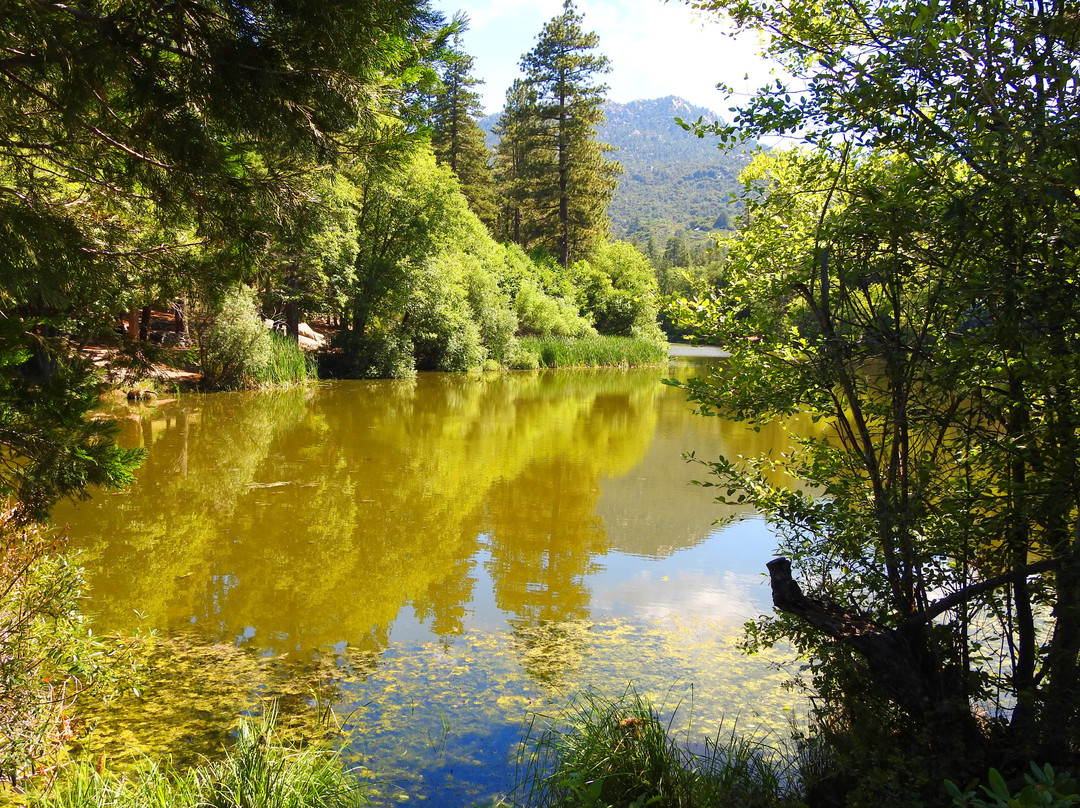 Lake Fulmor-Idyllwild必去景点