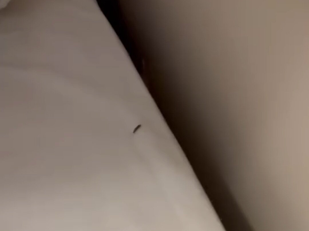 Port Augusta Inn and Suites主图