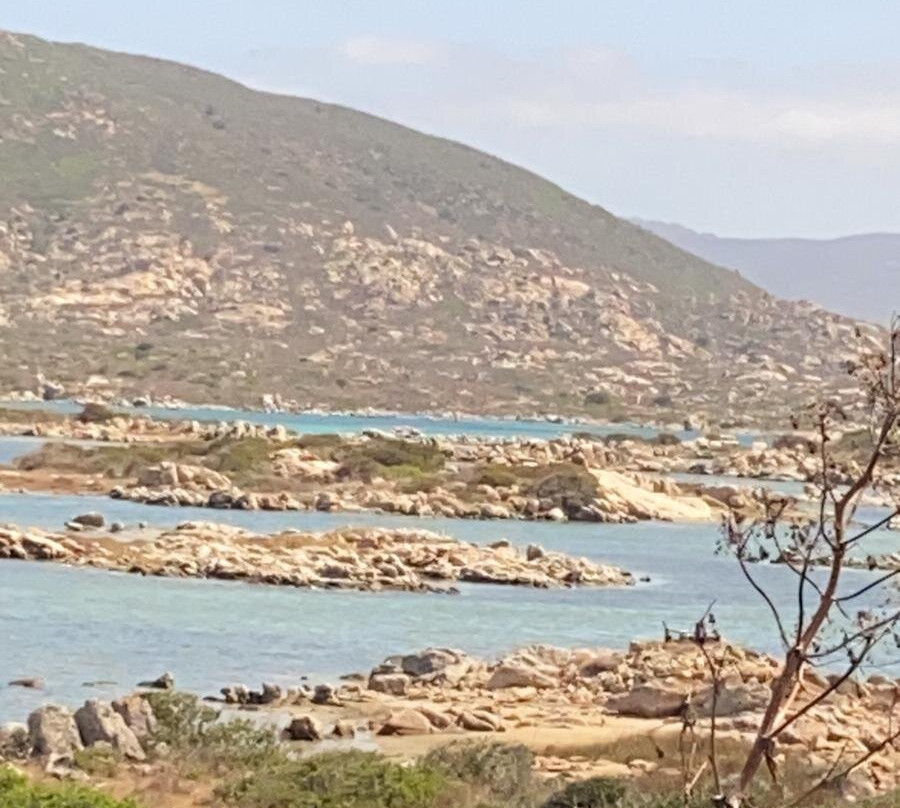 Mare & Natura - Tour Parco dell'Asinara-斯廷蒂诺必去景点