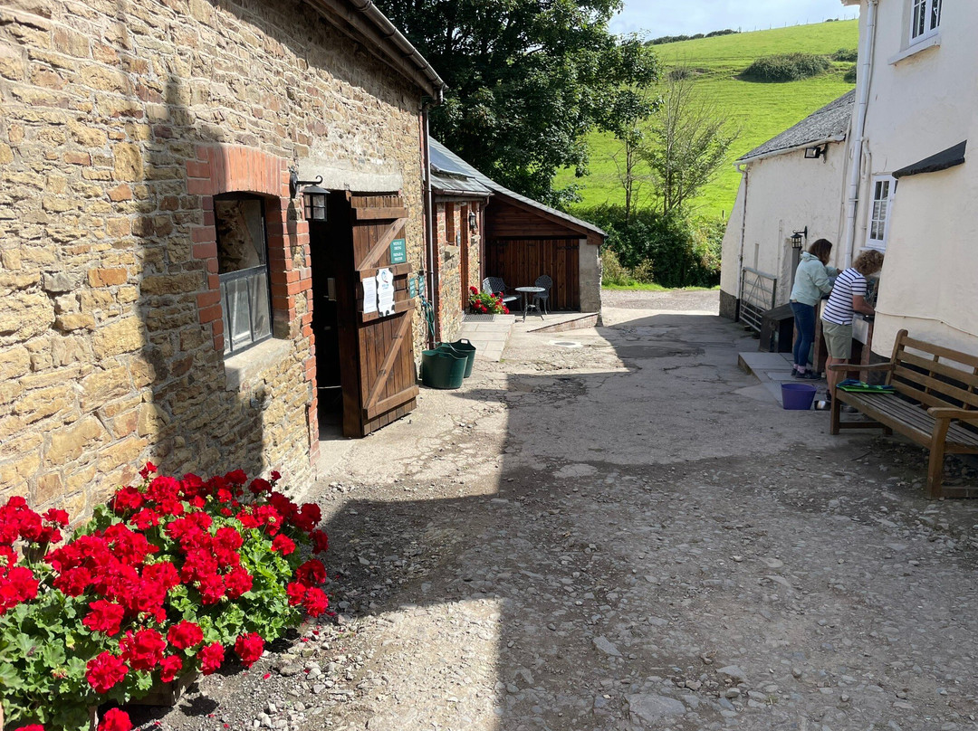 Combas Farm Camping主图