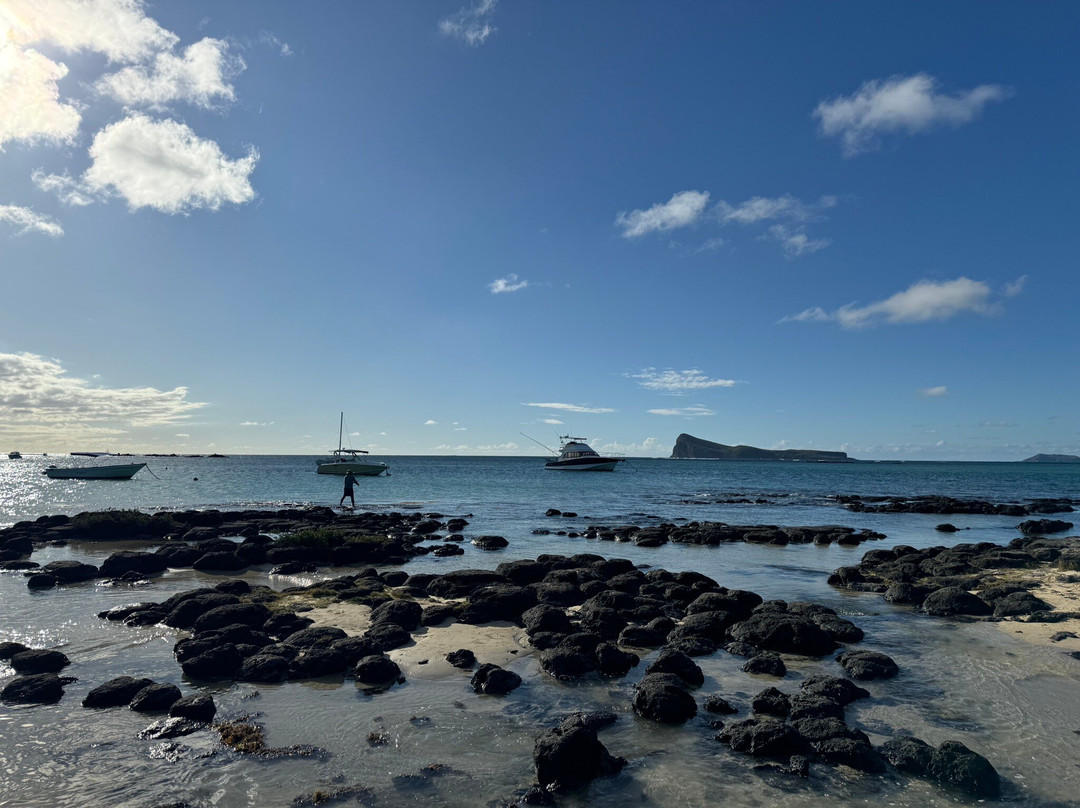 Crystal Divers Mauritius景点图片
