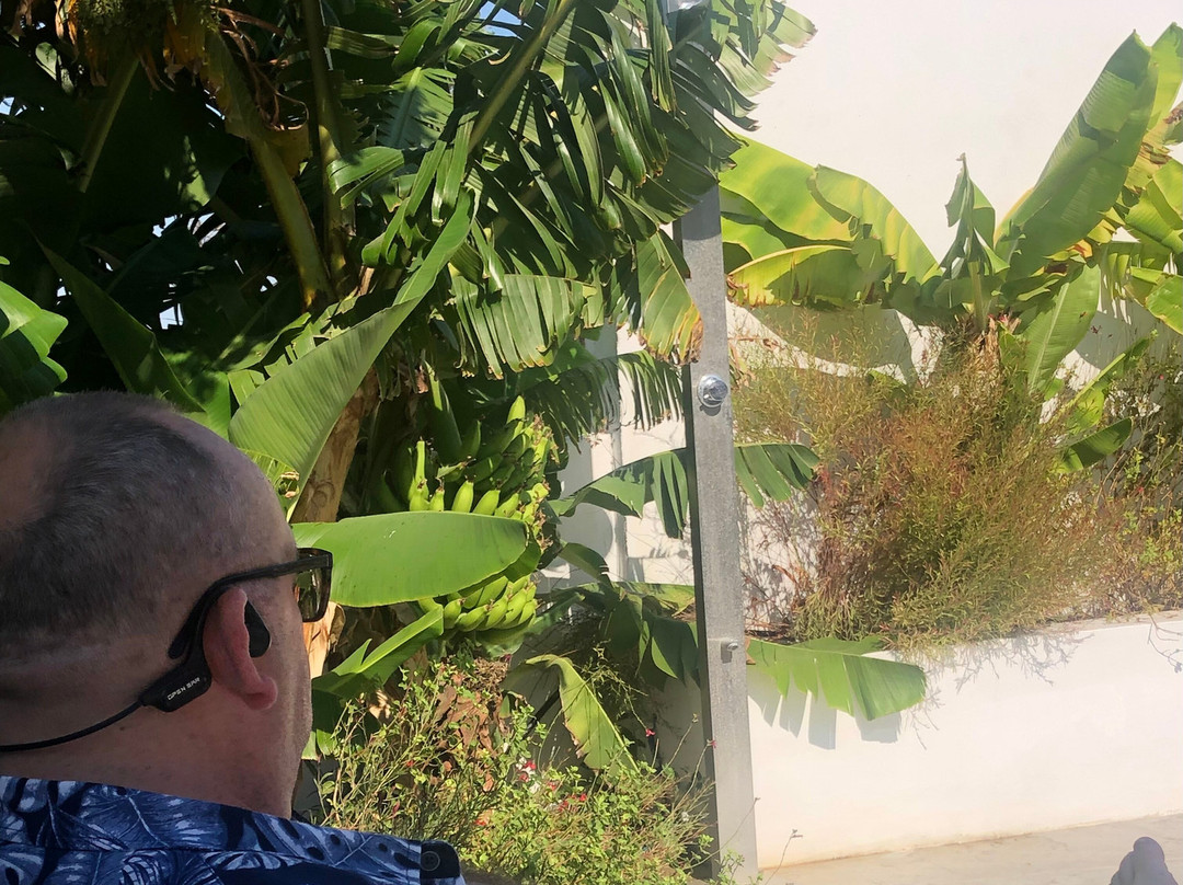 Fresh Hotel Faliraki主图