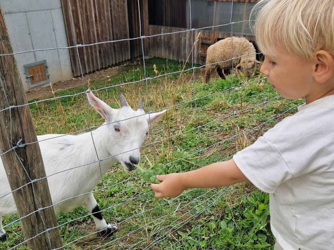 Lacken Biobauernhof主图