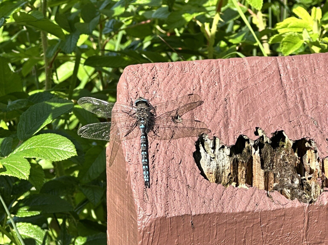 地震公园-安克雷奇必去景点