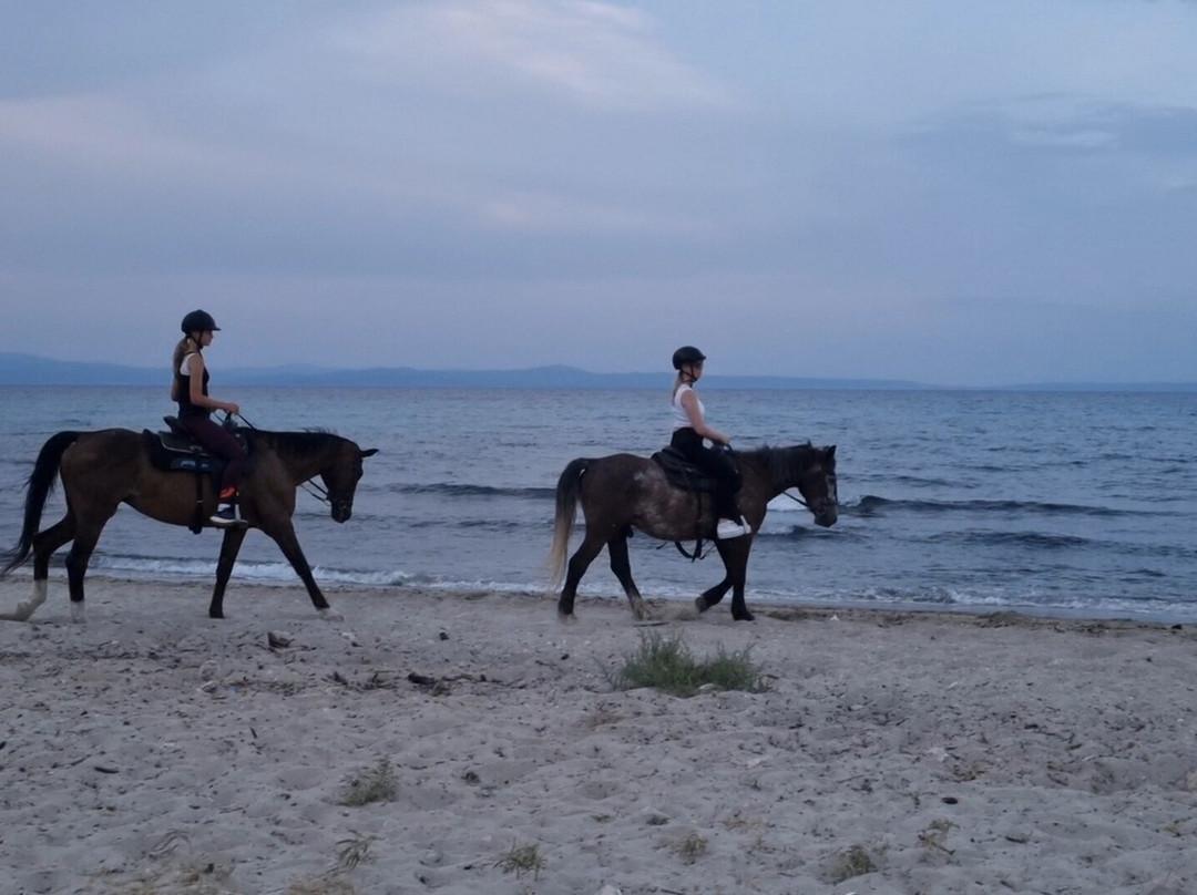 Horse-Ranch Manippos Halkidiki-Kassandra必去景点