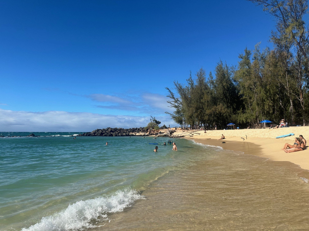 HA Baldwin Beach Park-芭雅必去景点