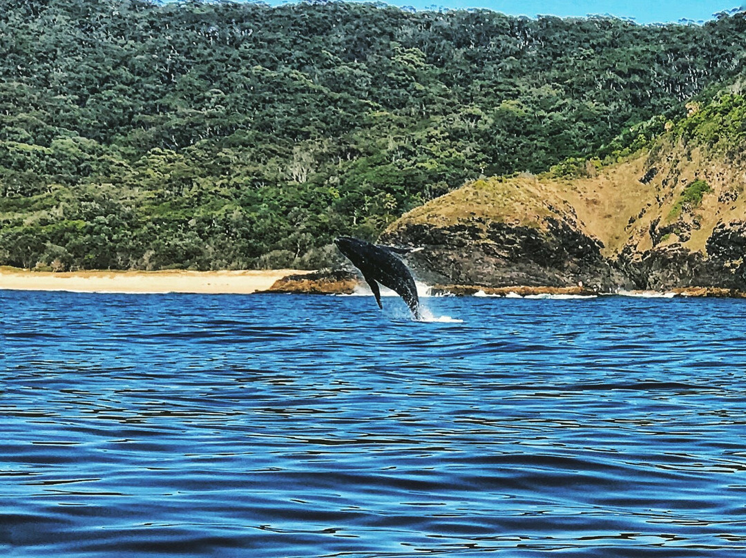 South West Rocks Dive Centre-西南岩必去景点