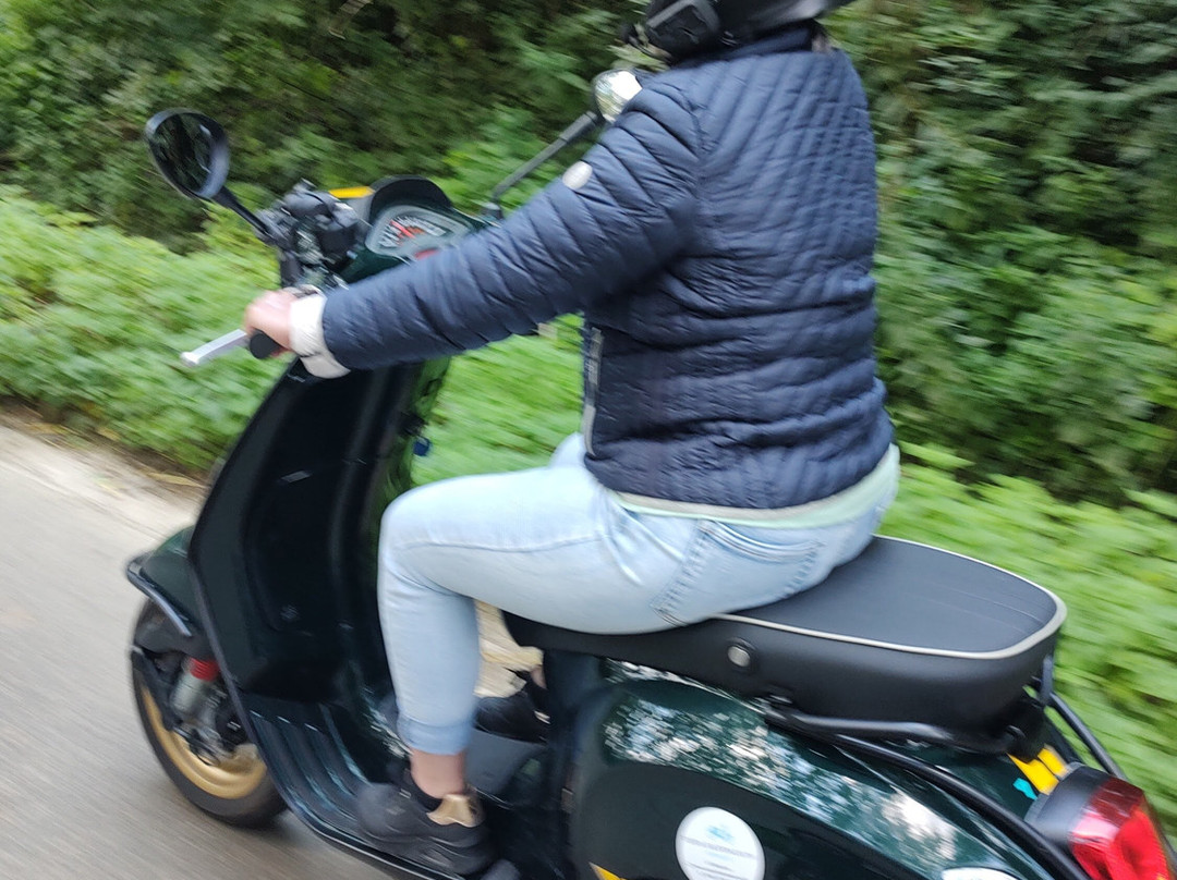 Vespa Haspengouw-圣特雷登必去景点