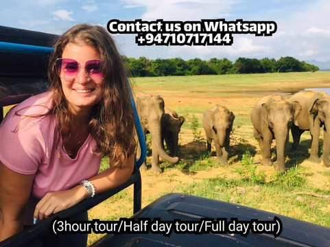 Udawalawe HALF DAY Safari Tours & Taxi Service-乌达瓦拉瓦必去景点