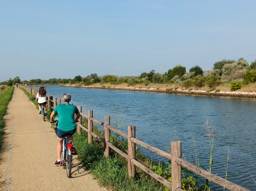 Pista Ciclabile Cavallino Treporti-卡瓦利诺-特雷波尔蒂必去景点
