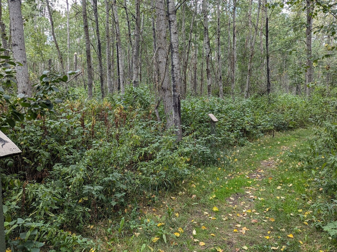 Garner Lake Provincial Park-烟湖必去景点