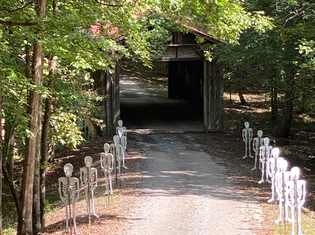 Burt's Farm-道森维尔必去景点