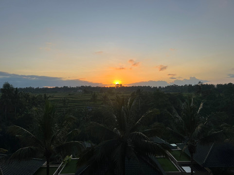 Balinice Transport-登巴萨必去景点