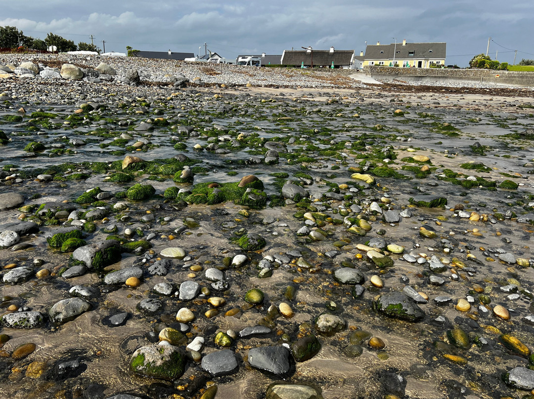 The Beach Bar Sligo / Aughris House主图