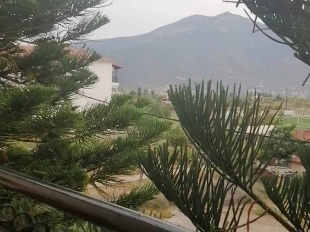 Argiropouloi