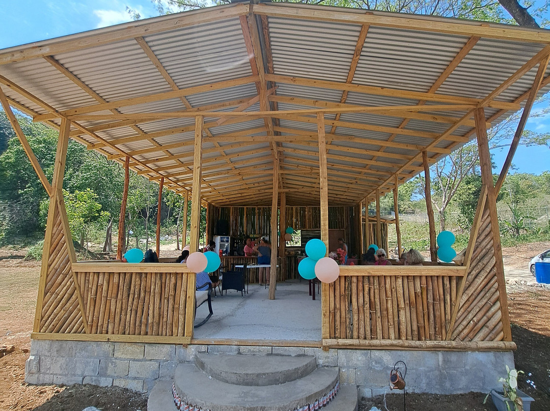 Tafara Farm Jamaica景点图片