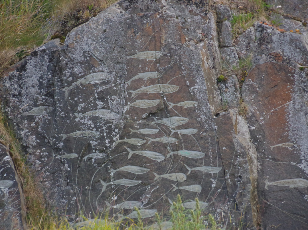 Stone & Man-Qaqortoq必去景点