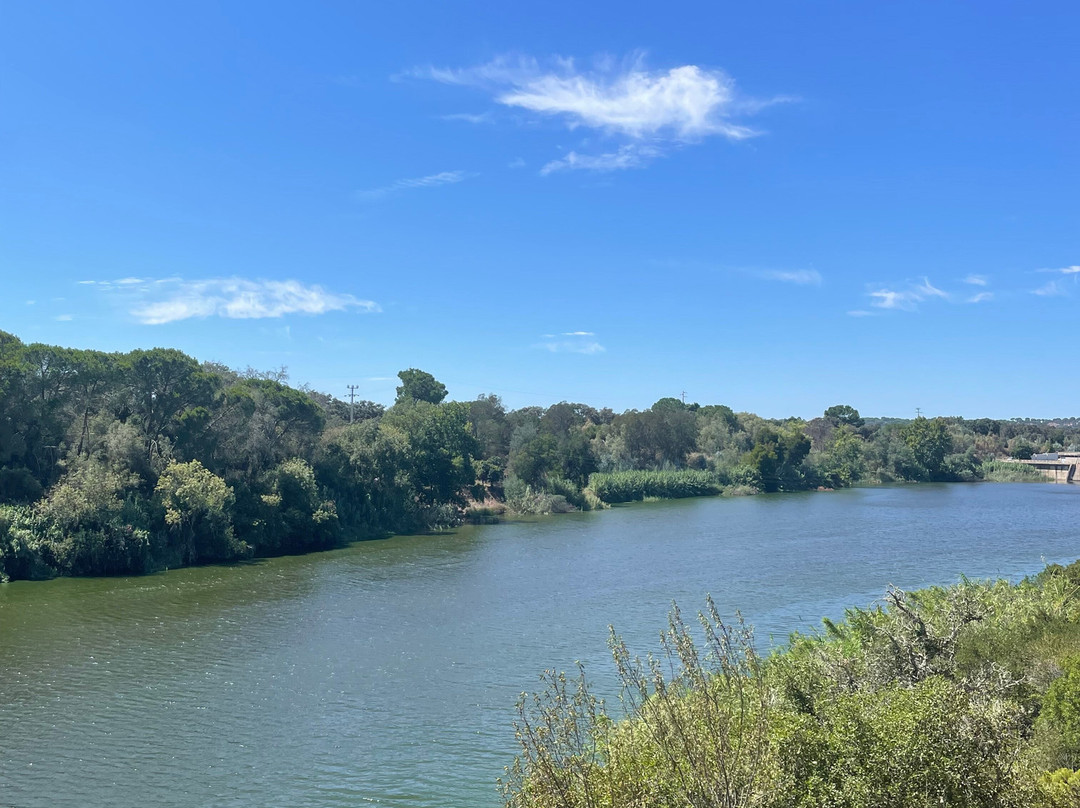 Praia Fluvial de Mourão景点图片