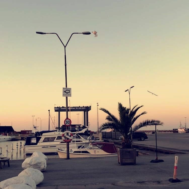 Strandby Havn-斯特兰比必去景点