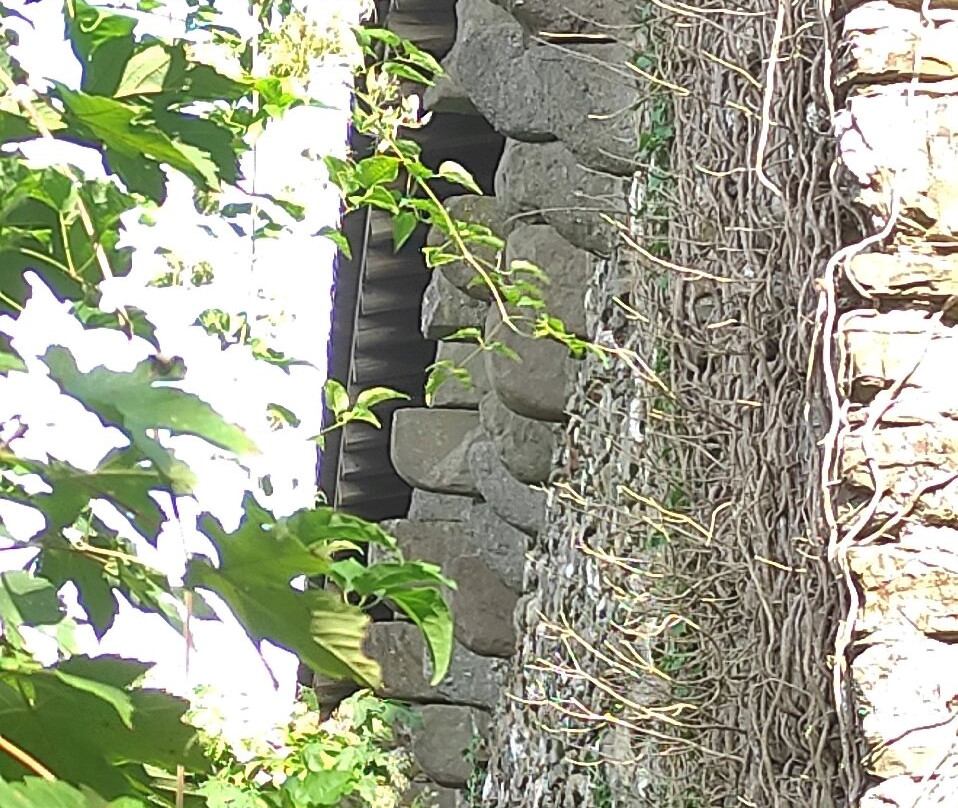 Castello di Borgo Fornari-Ronco Scrivia必去景点