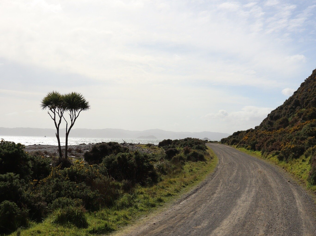 Pencarrow Coastal Trail景点图片