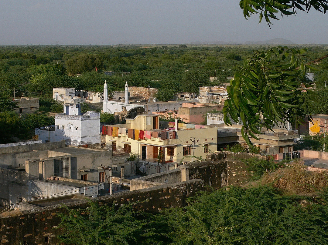 Roopangarh Fort主图