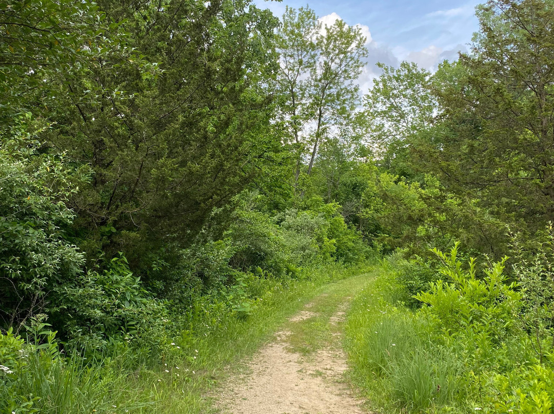 Possum Creek MetroPark景点图片