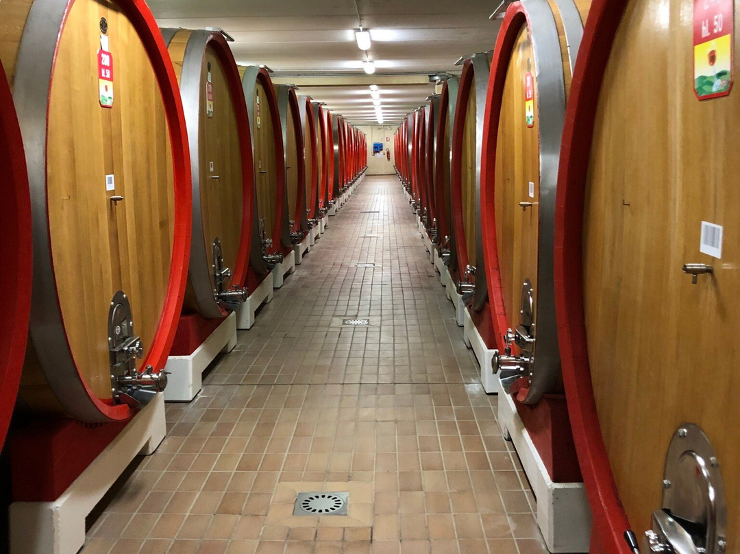 Cantina Valpolicella Negrar-维罗纳必去景点