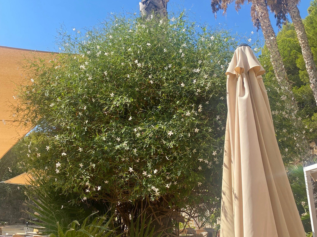 Altea Club de Golf-Altea la Vella必去景点