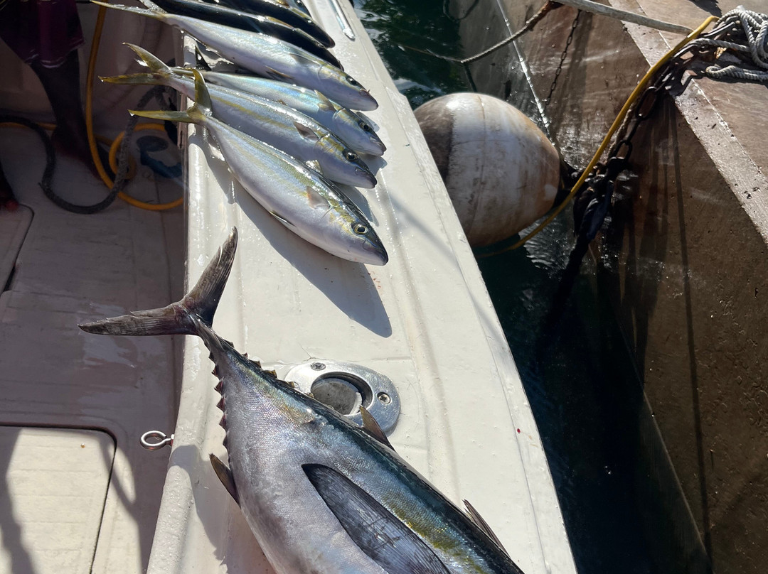 Billfisher Deepsea Fishing-布里奇顿必去景点