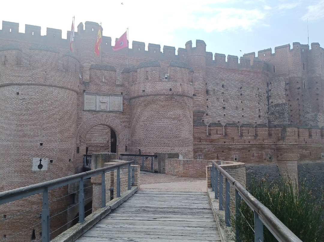 Castillo de la Mota景点图片