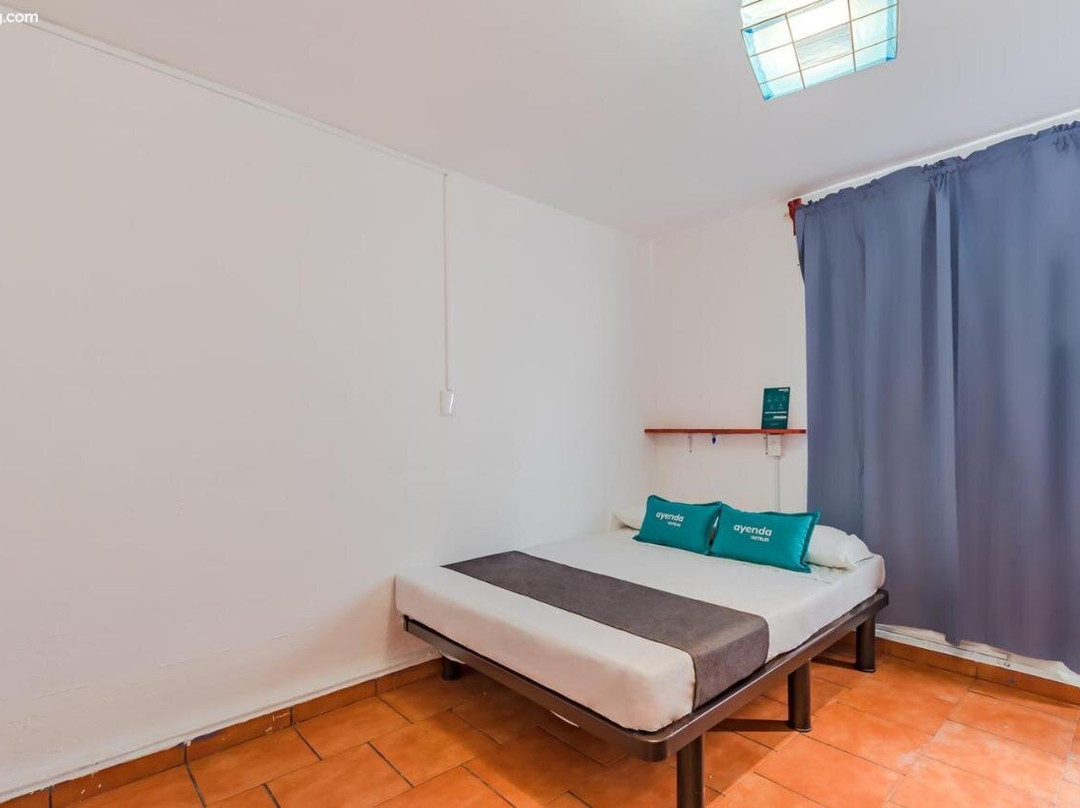 Ayenda Oasis Airport主图