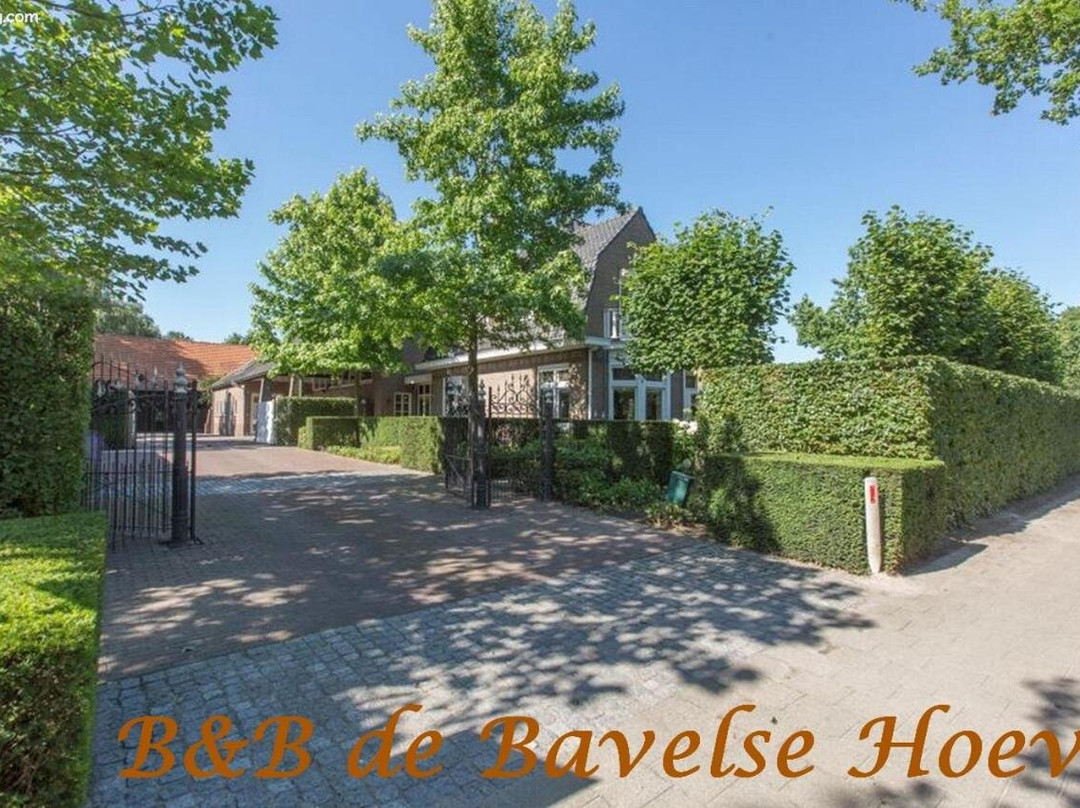 B&B De Bavelse Hoeve主图