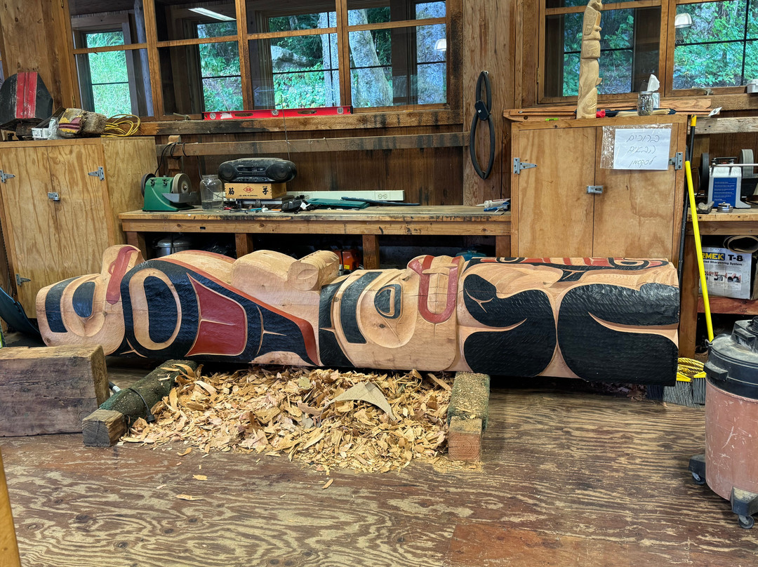 Cape Fox Tours-凯奇坎必去景点