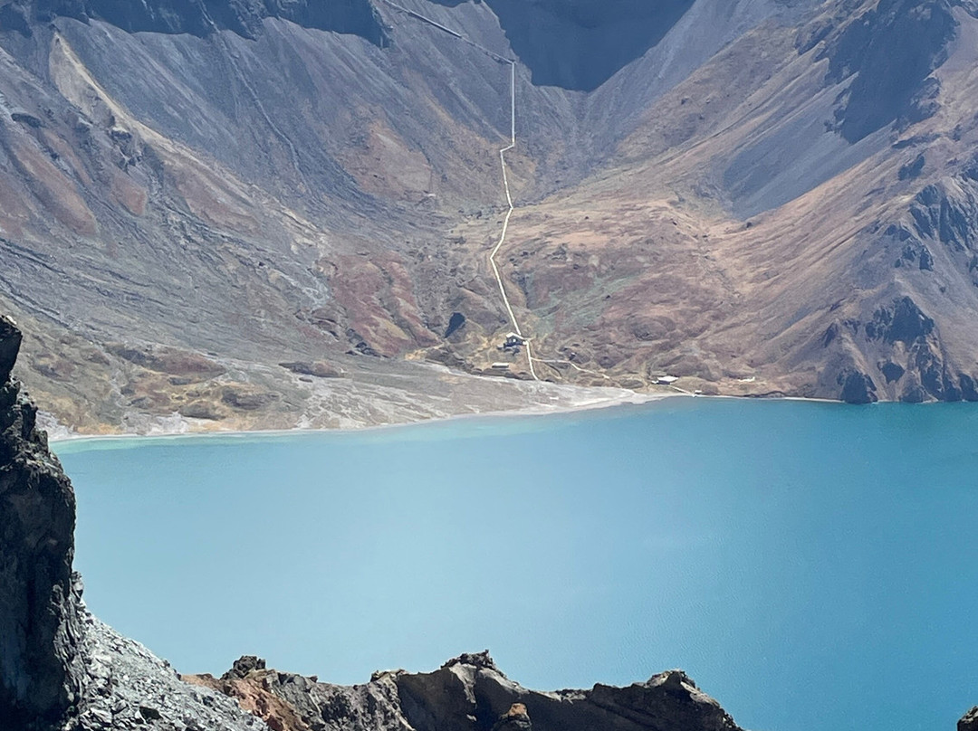 长白山东北虎林园景点图片