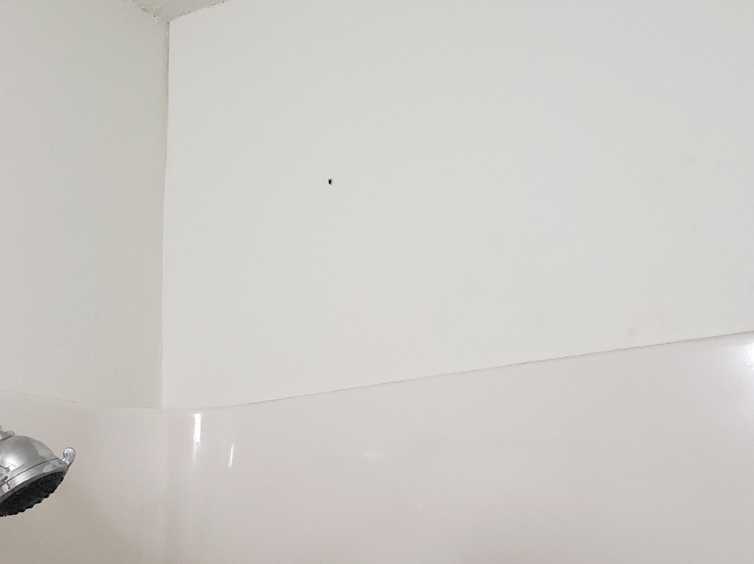 Super 8 by Wyndham West Fargo Main Ave ND主图