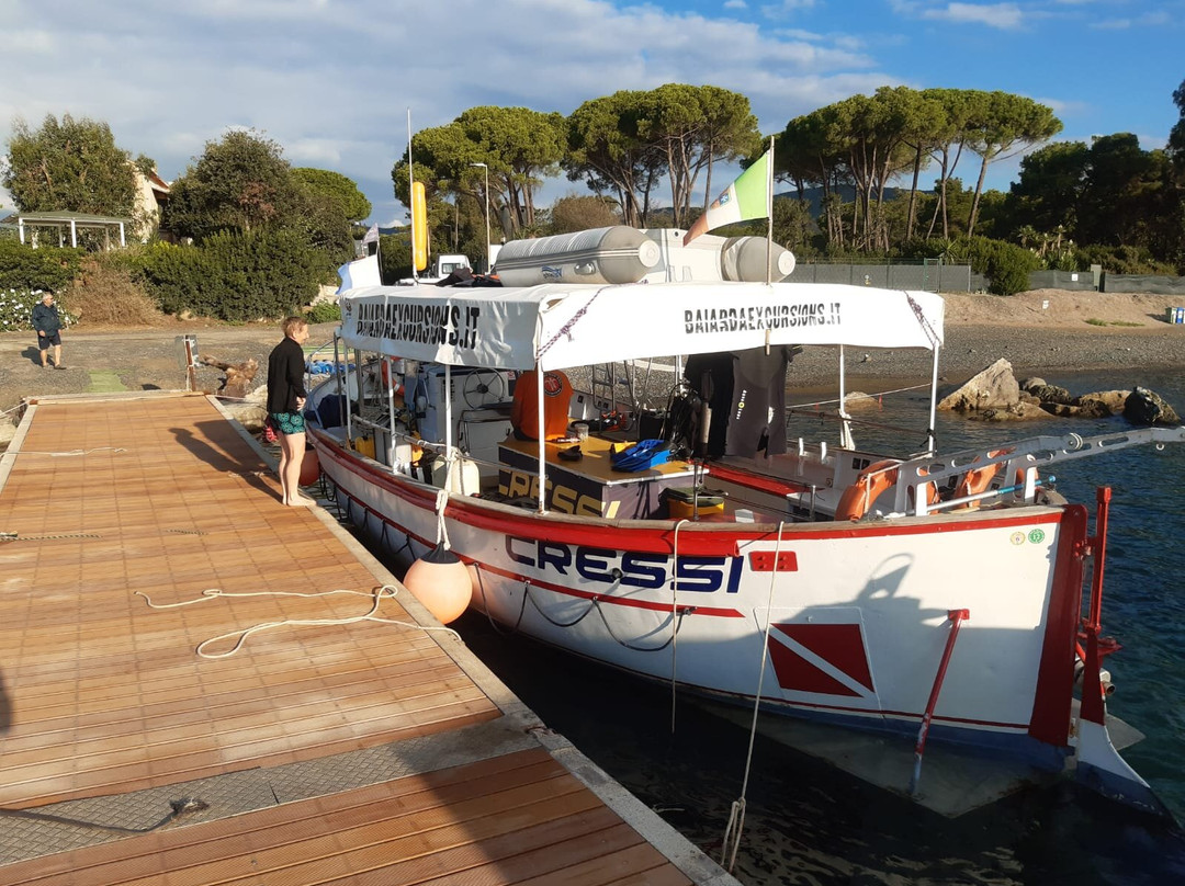 Baiarda Dive Boat Excursions景点图片