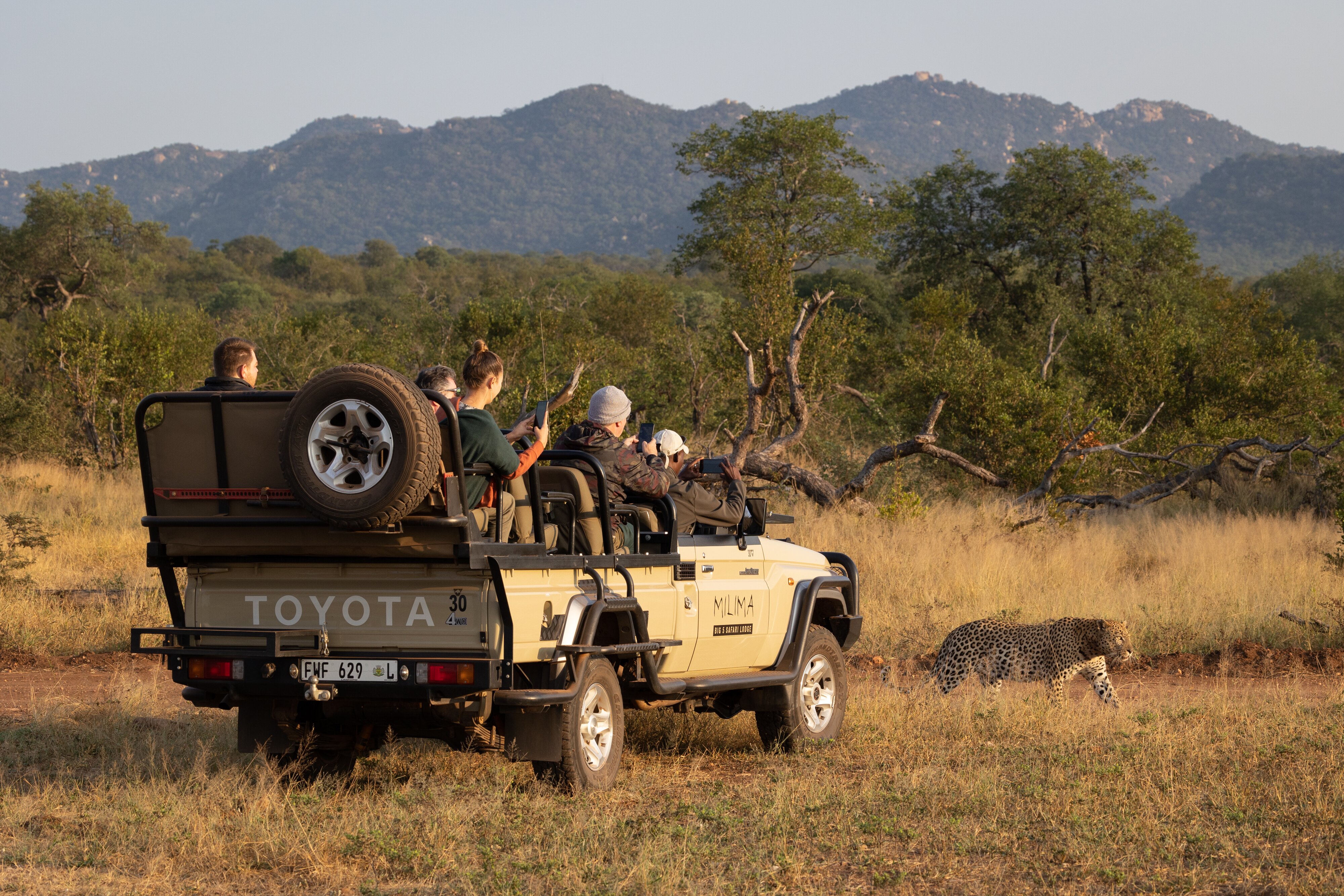 Milima Big 5 Safari Lodge-官方