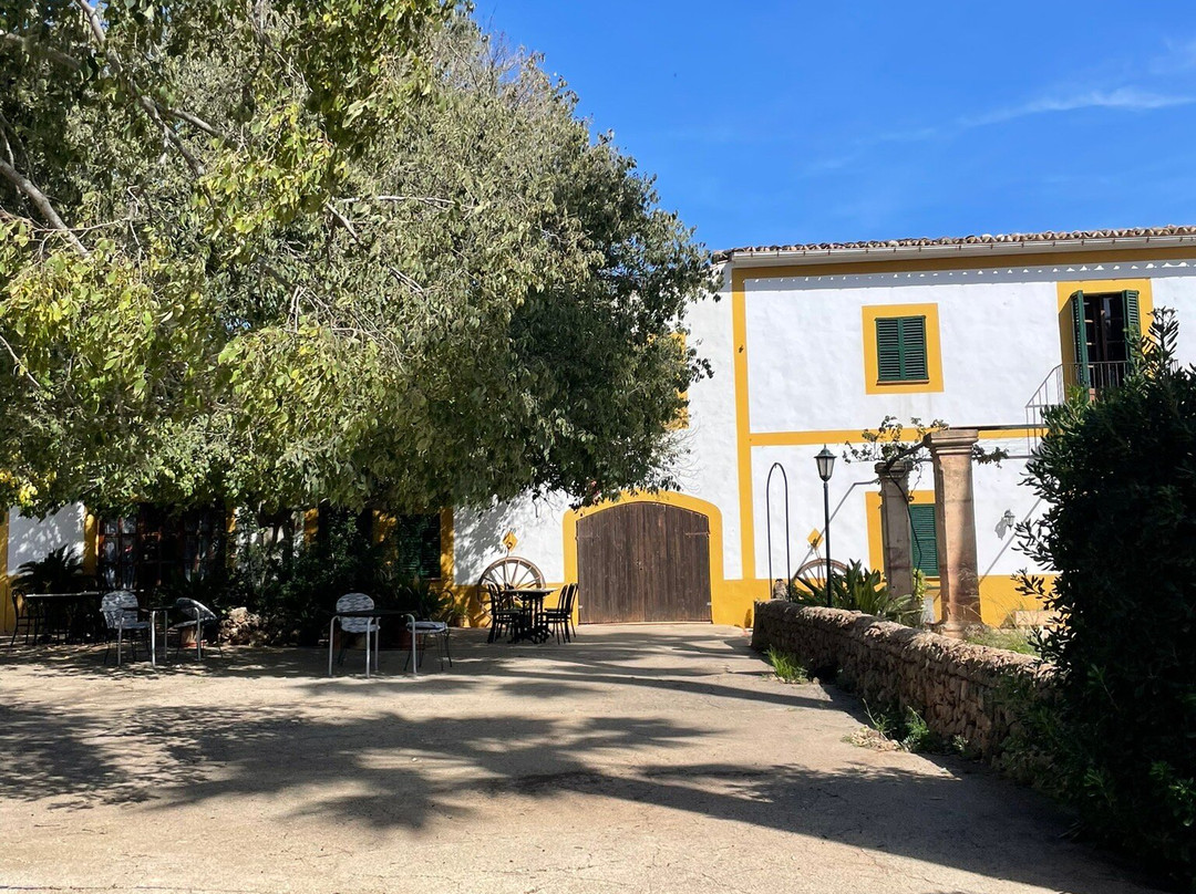 Agroturismo Finca Son Amora主图