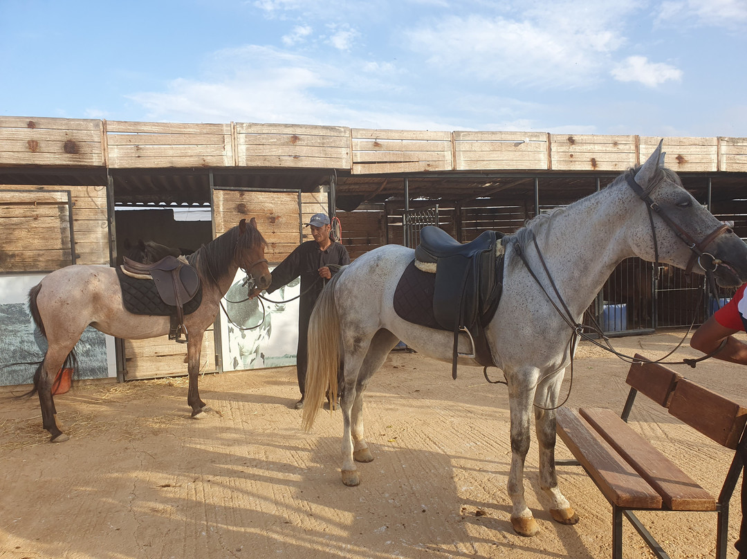 Bio Et Bois Domaine d'hotes主图