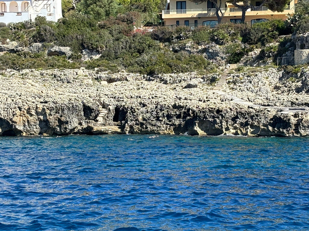 Gestione Mare Diving & Charter-锡拉库扎必去景点