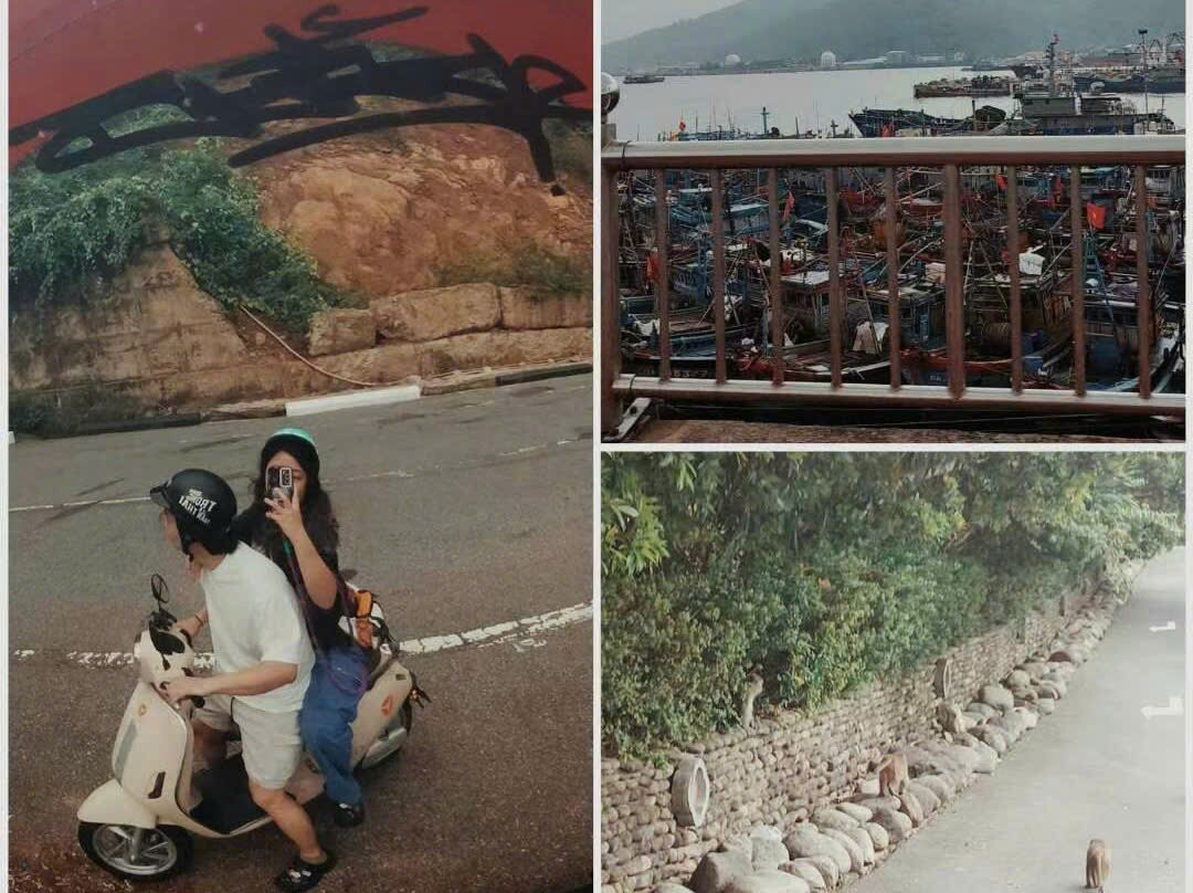 Xanh 43 - Electric Motorbike Rental, Danang-Ngu Hanh Son必去景点