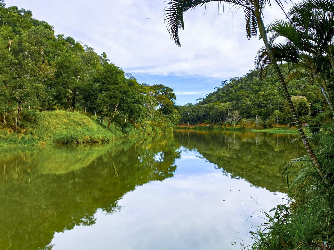Lago De Palmas景点图片