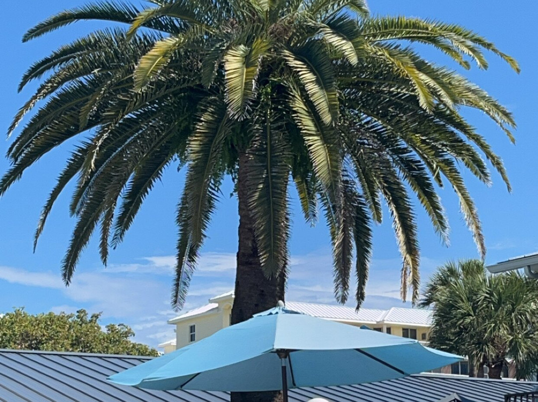 热带岛海滩度假村汽车旅馆主图