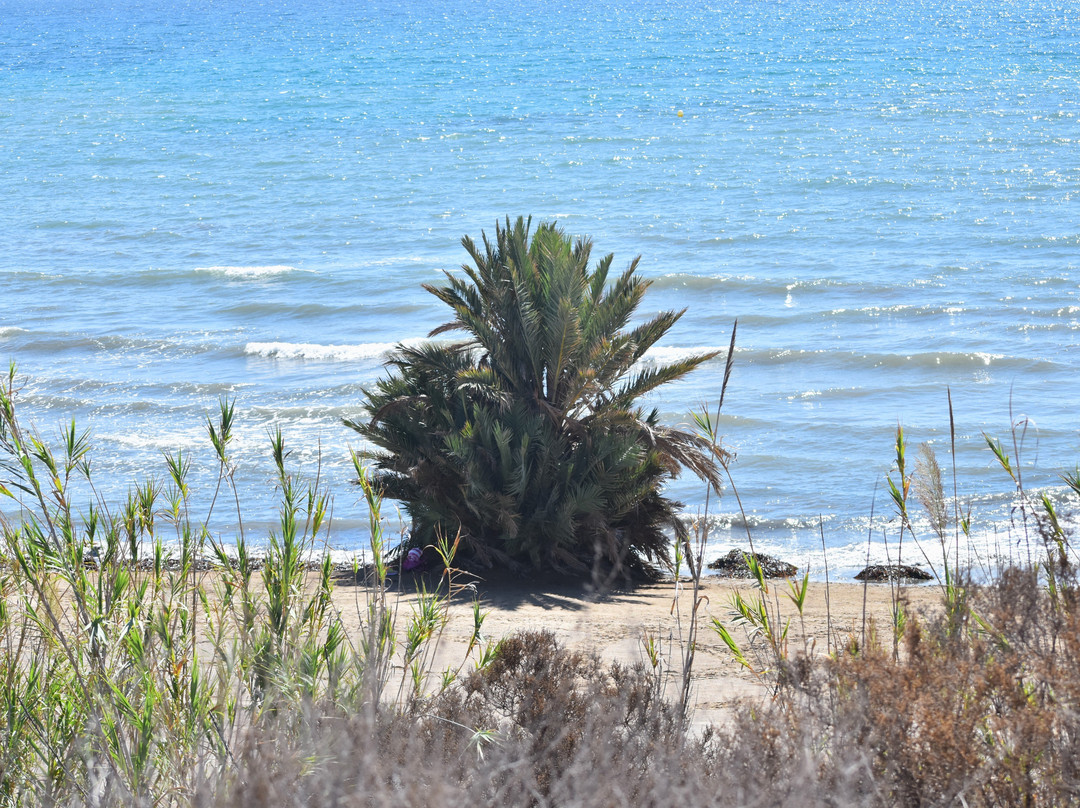 Playa Negra-穆尔西亚马萨龙港必去景点